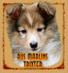 Rus Marlins Trixter