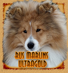 Rus Marlins Ultragold