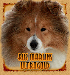 personal page Rus Marlins Ultragold