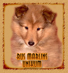 Rus Marlins Unikum