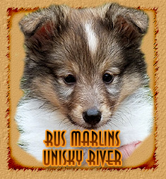 Rus Marlins Unisky River
