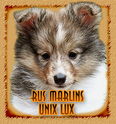 Rus Marlins Unix Lux