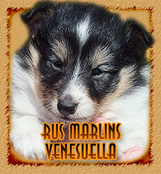 Персональная страница Рус Марлинс Венесуэлла