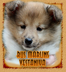 Rus Marlins Vestaniya