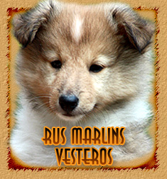 Rus Marlins Vesteros