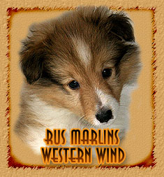 Rus Marlins Western Wind
