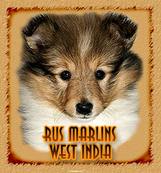 Rus Marlins West India