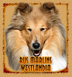 Rus Marlins Westlandia