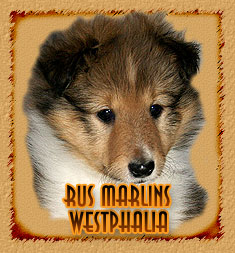 Rus Marlins Westphalia
