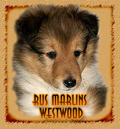 Rus Marlins Westwood