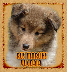 Rus Marlins Yugoria