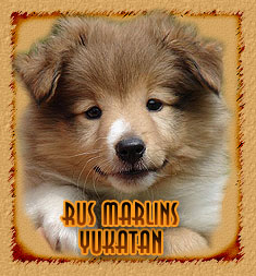 Rus Marlins Yukatan