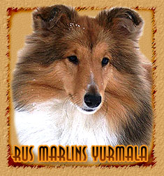 Rus Marlins Yurmala