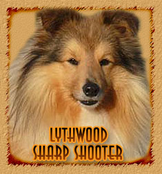 Lythwood Sharp Shooter